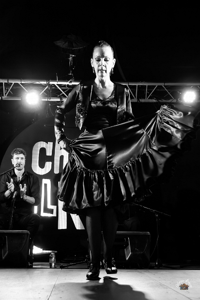 flamenco (107)